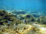 2009-09-08 13-46-14S